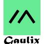 logo_gaulix_general_v2.jpg